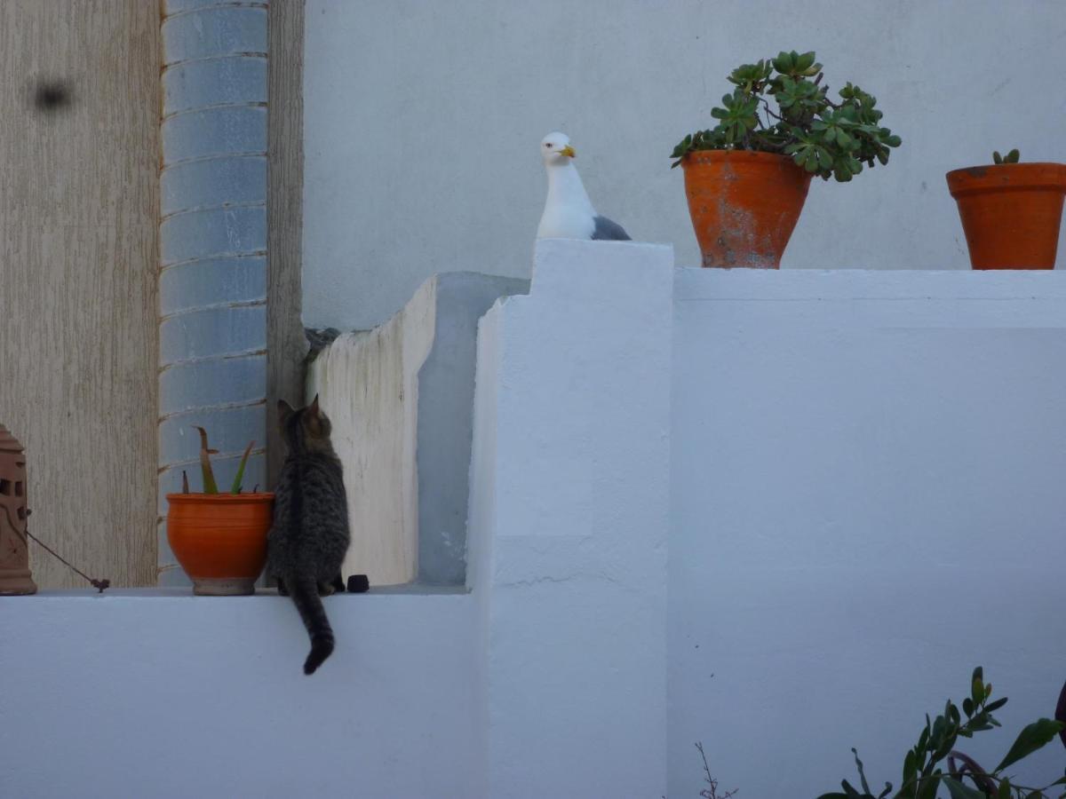 Riad Orange Cannelle Essaouira Eksteriør bilde